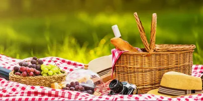 DSIDQ Hervey Bay Family Picnic