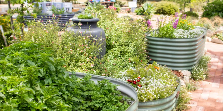 Gardening Workshop: Dig into Healthy Ageing with LiveUp