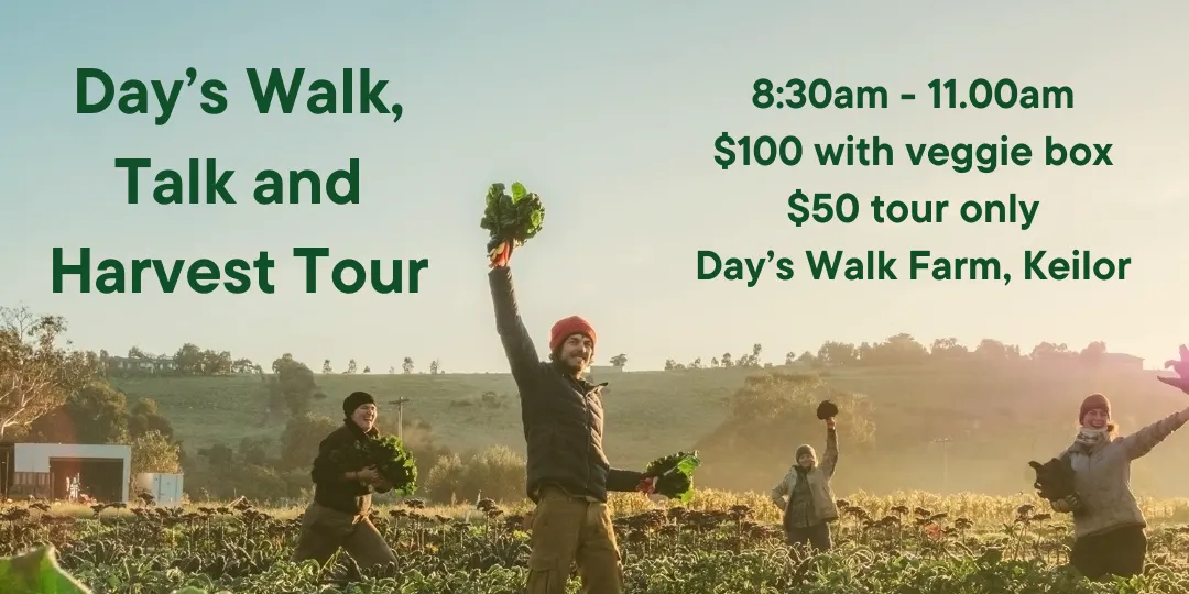 Day's Walk, Talk and Harvest Tour (October 25th)