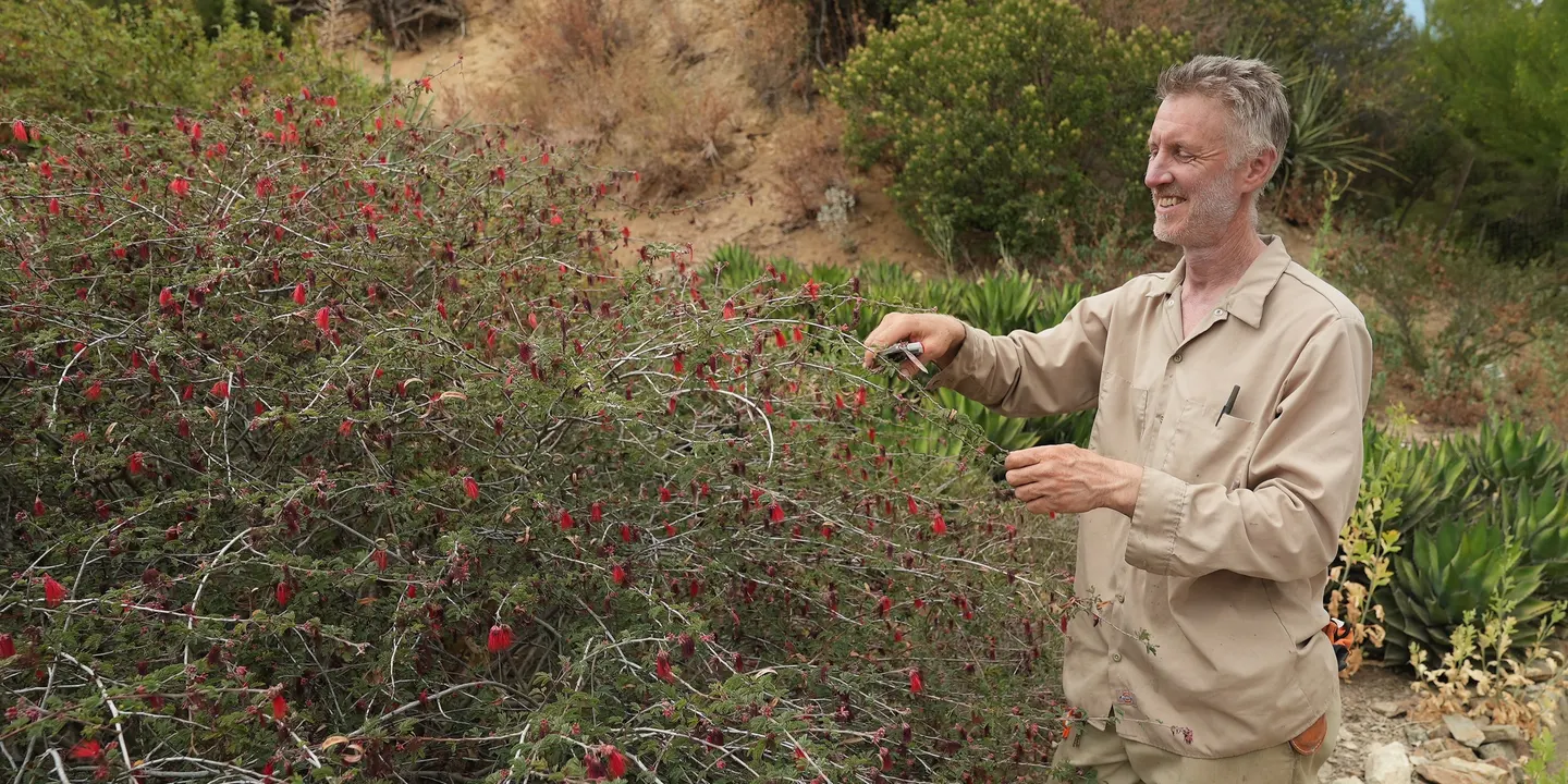 Fall Native Plant Maintenance Walk-and-Talk with Erik Blank — Oct 10, 2026