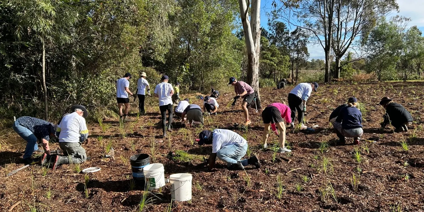 Wetland Warriors at Archerfield Wetlands