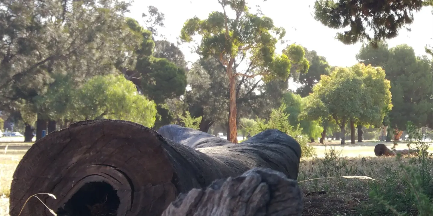Guided Walk - SW Park Lands off Anzac Highway