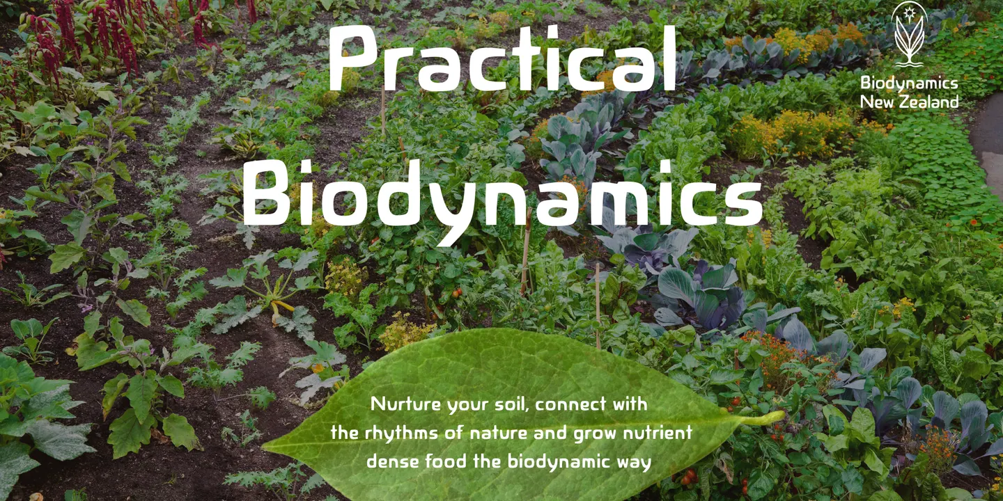 Practical Biodynamics for Tamariki and Whanau - Colab with Rodney Community