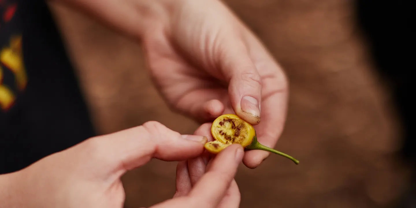 kipli takara / Bush Tucker Tour