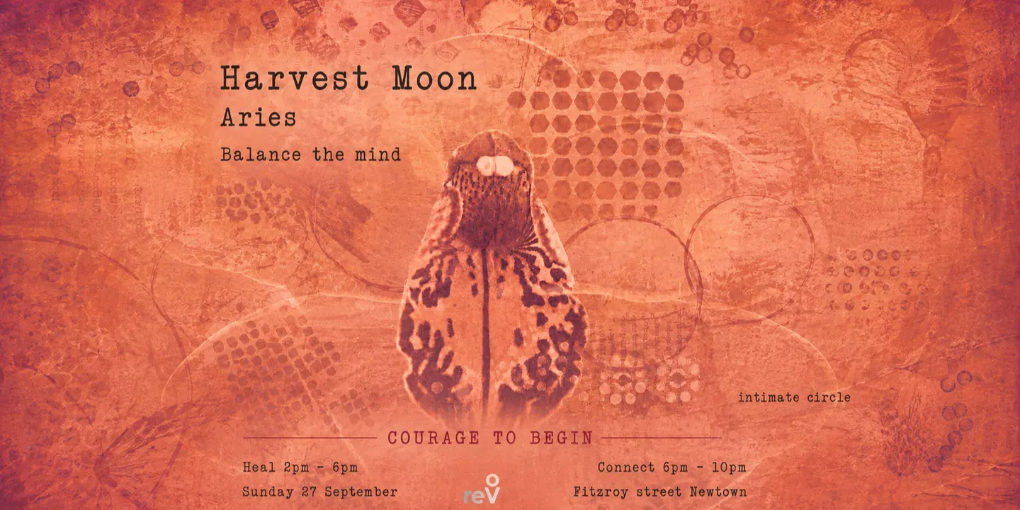 Full Moon in Aries Heal by Day