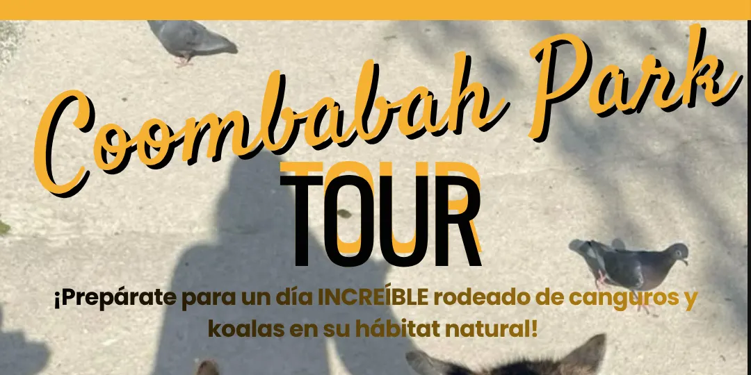 Coombabah Park - Kangaroo and Koalas tour
