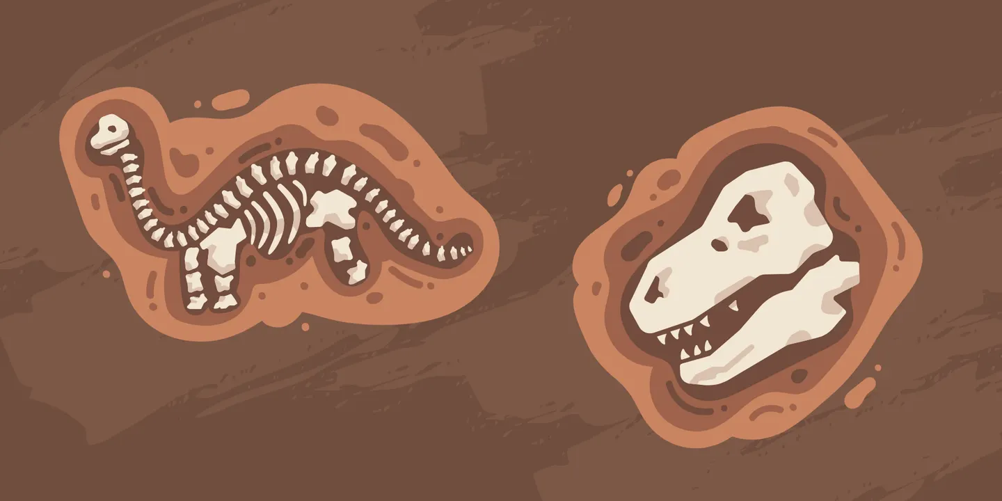 Palaeontology Rocks!