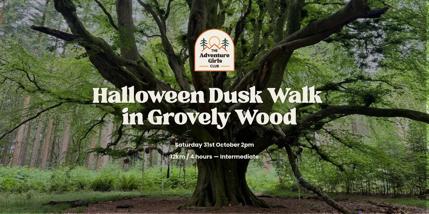 Women-only Halloween Walk | The Witch Sisters of Grovely Wood | WILTSHIRE