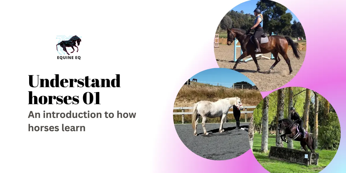 Understand horses 01 - An introduction to how horses learn