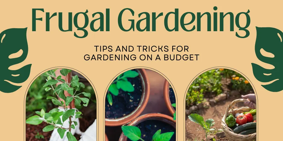 Frugal Gardening
