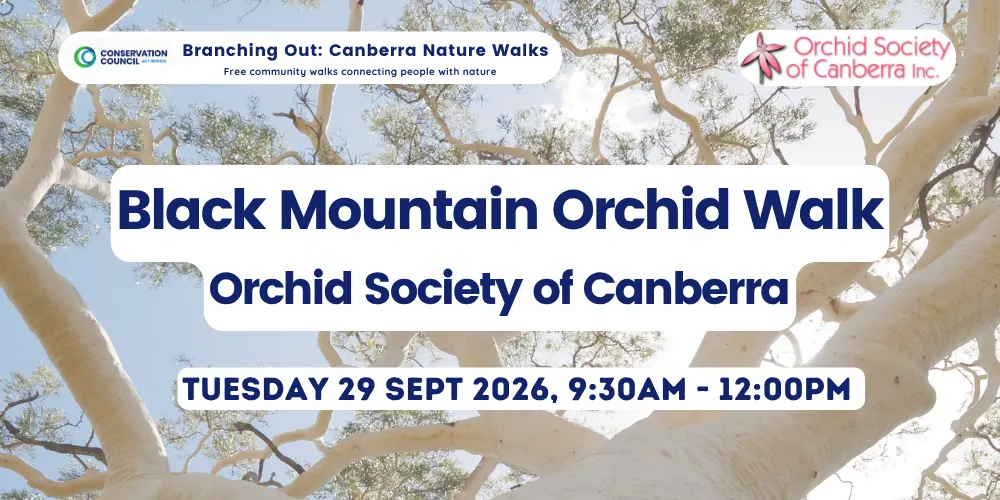 Branching Out: Black Mountain Orchid Walk