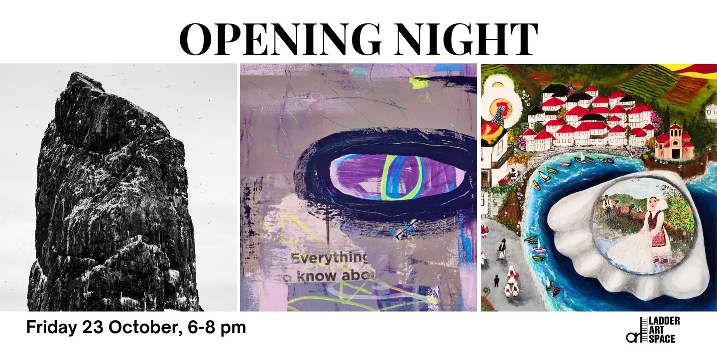 Exhibitions' Opening Night | Ladder Art Space, Melbourne
