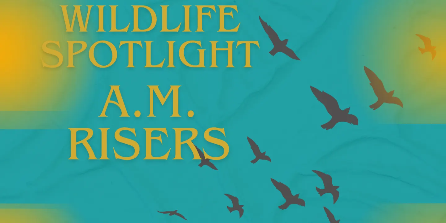 Wildlife Spotlight: A.M Risers Adventure at Perico Preserve