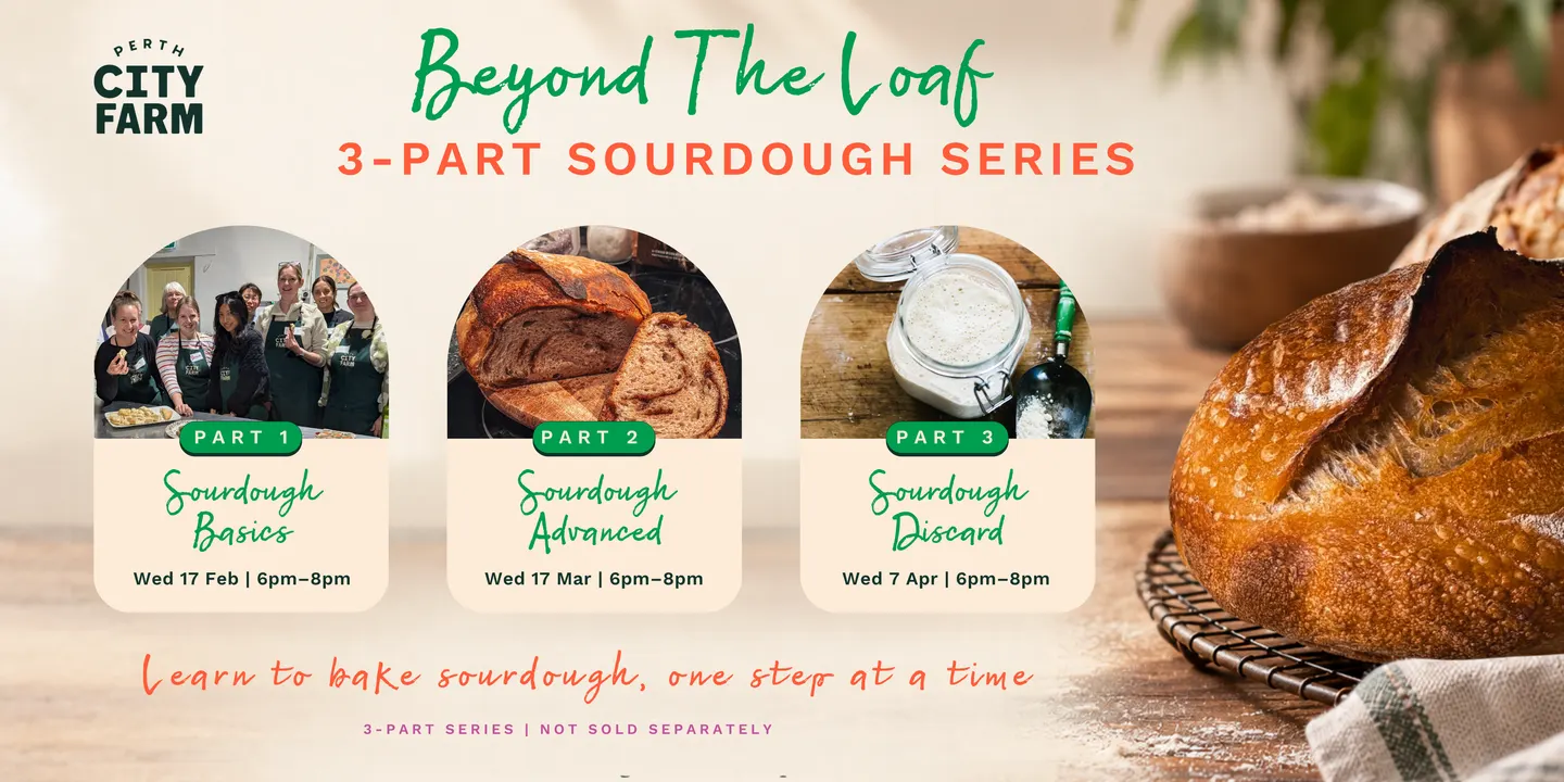 Beyond the Loaf Sourdough 3 part Series