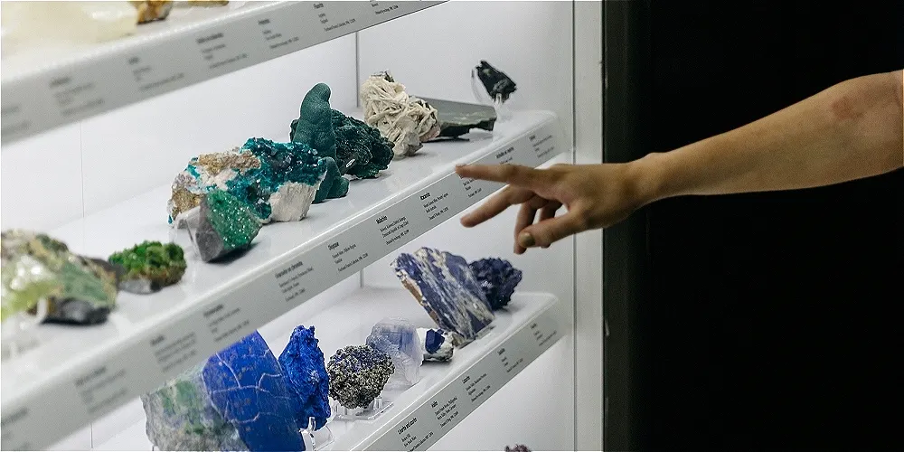 It's In Our Nature: A Queer Tour of the Museum