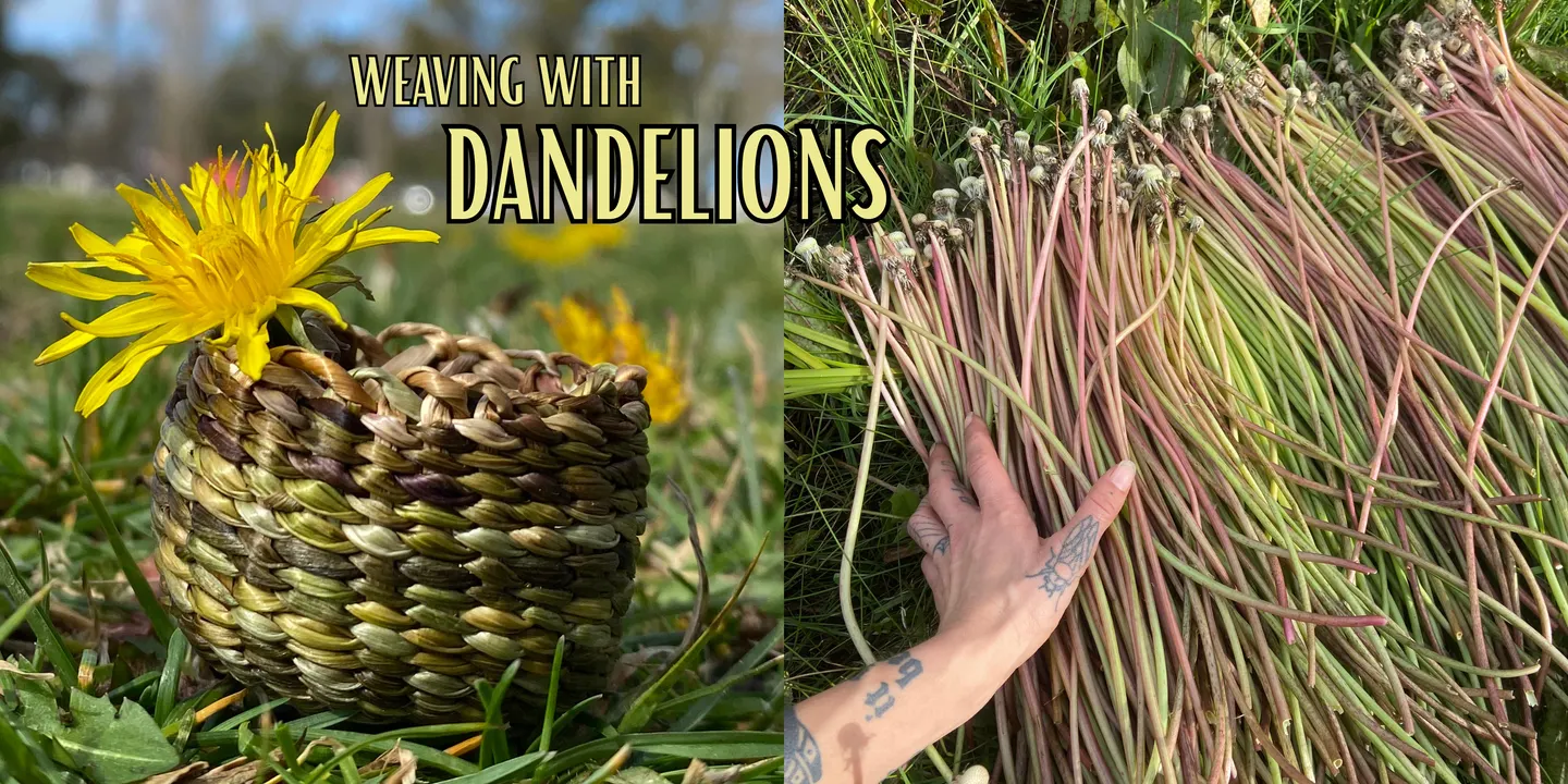 Weaving with Dandelions