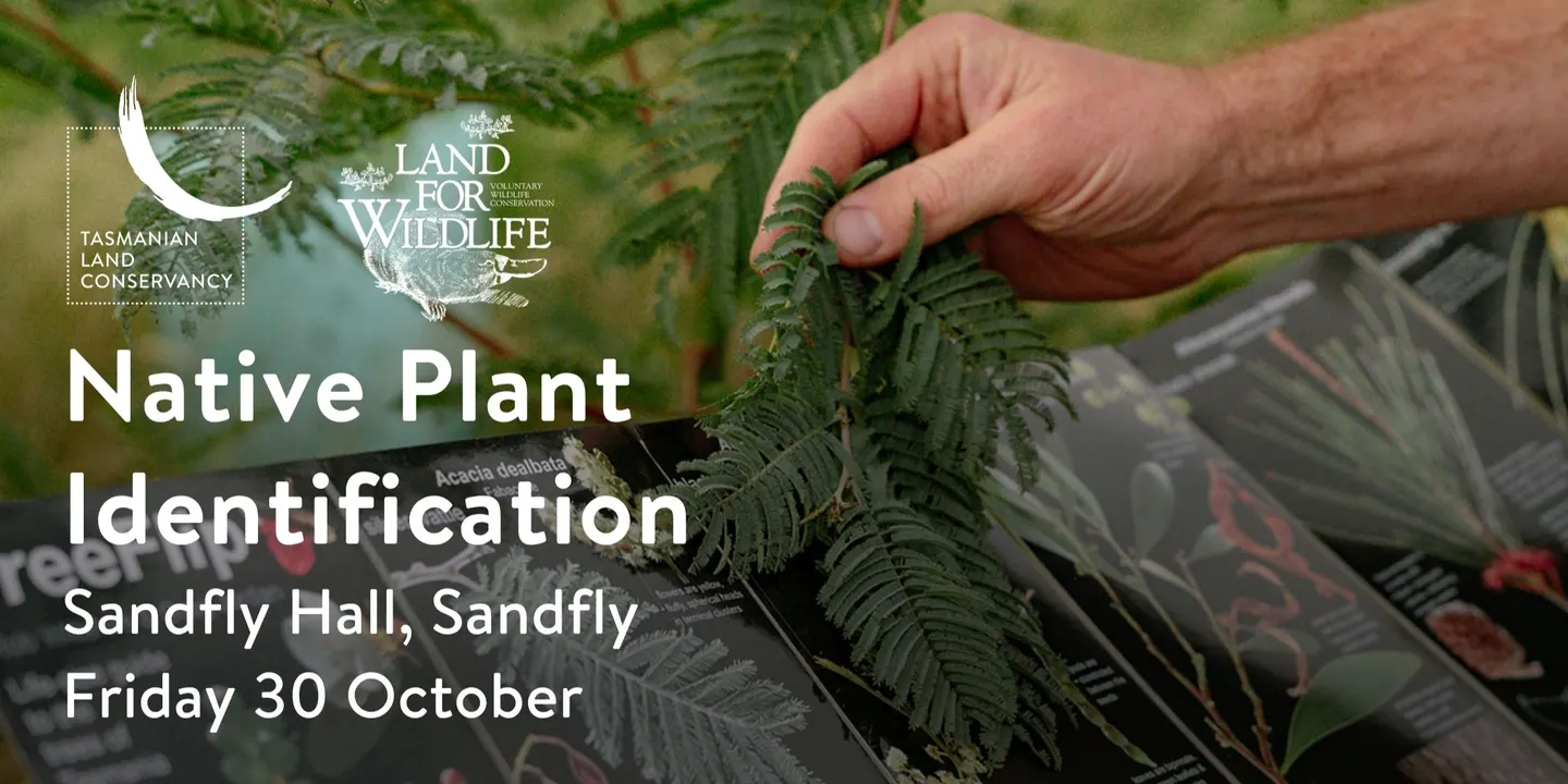 TLC Native Plant Identification - Land for Wildlife Workshop 2026