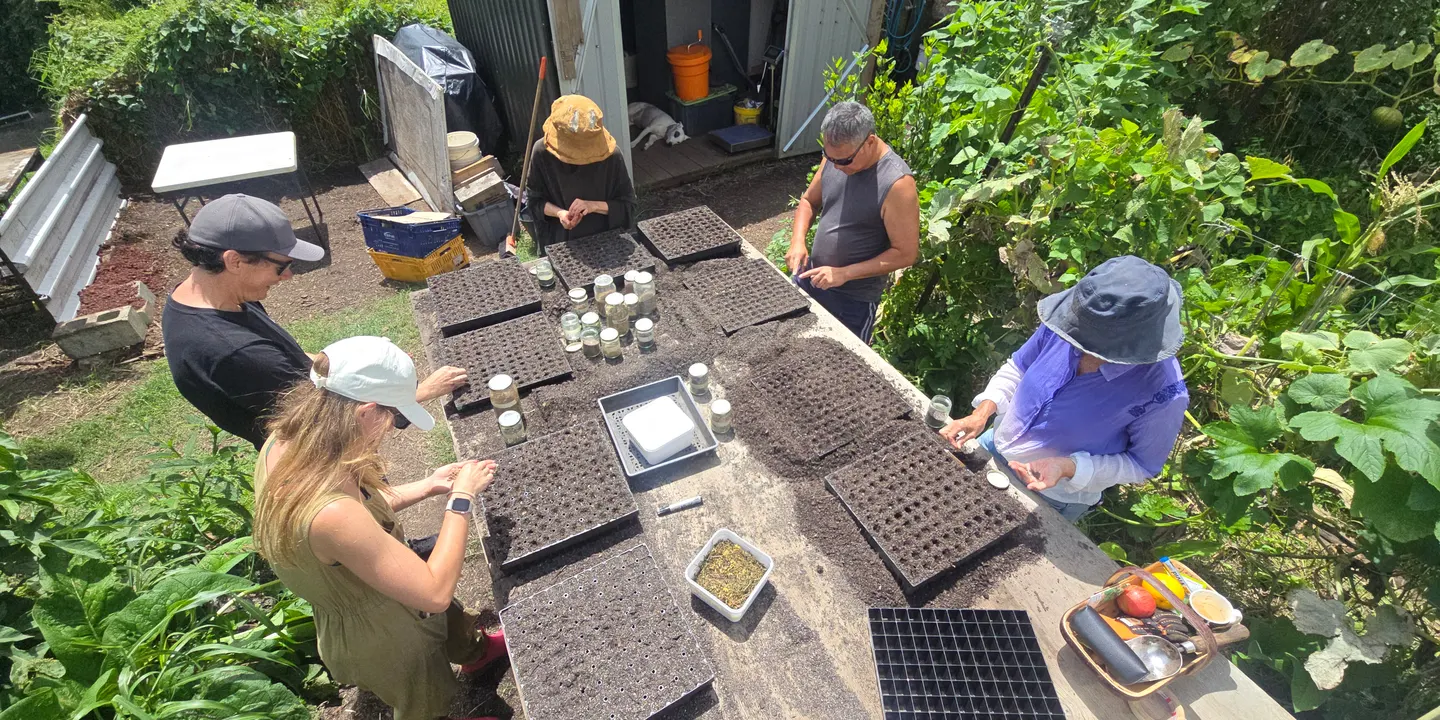1000 Young Growers for Tāmaki - Corbans Estate
