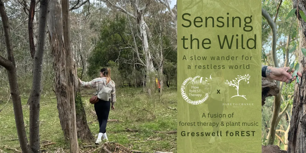 Forest Therapy & Plant Music - Gresswell Forest