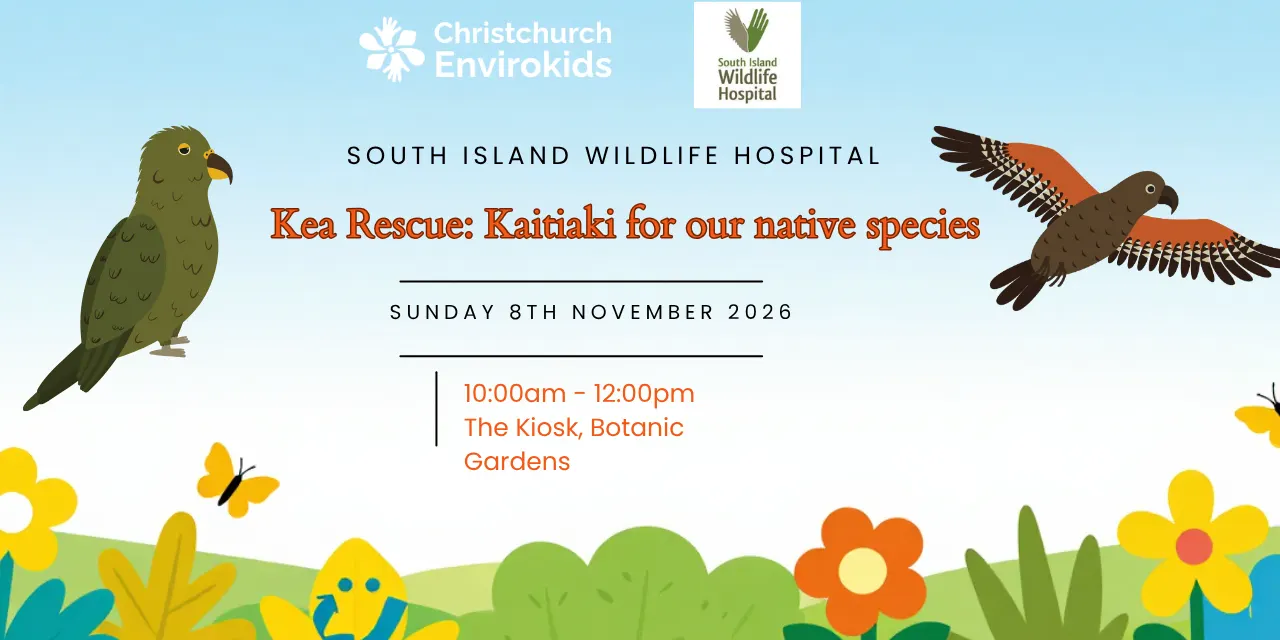 Christchurch Envirokids x South Island Wildlife Hospital