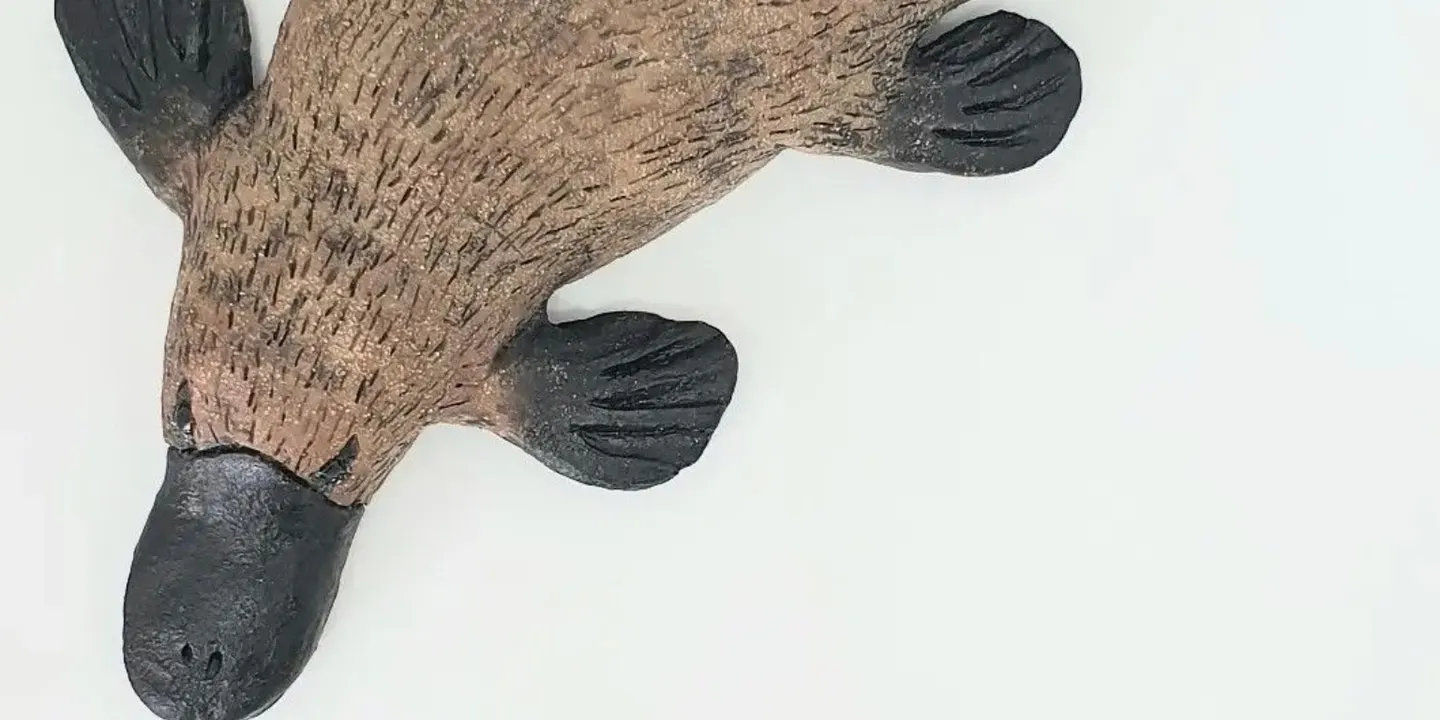 Use SunClay to mould and paint a Platypus