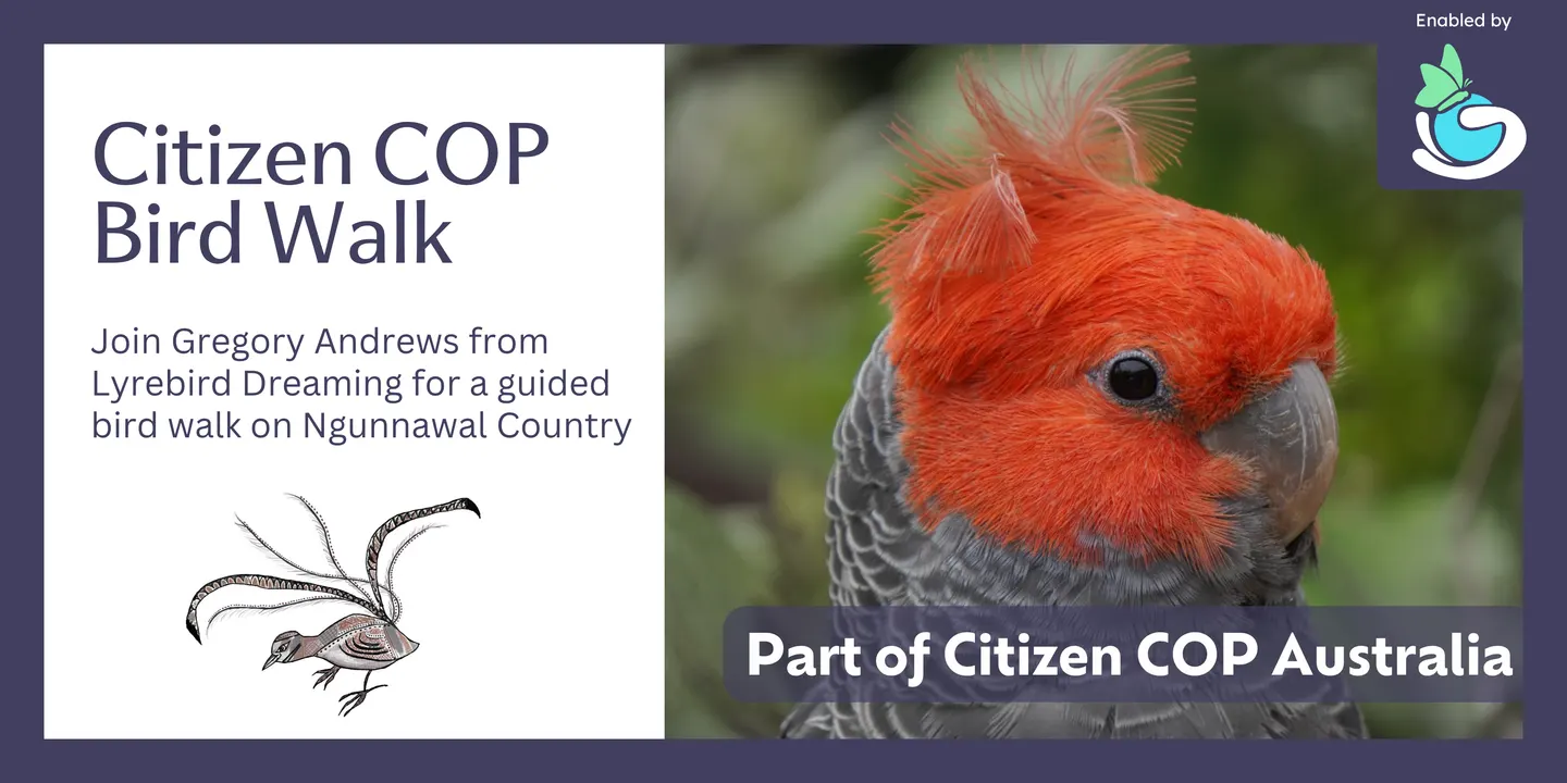 Bird Walk Canberra - Citizen COP 2026