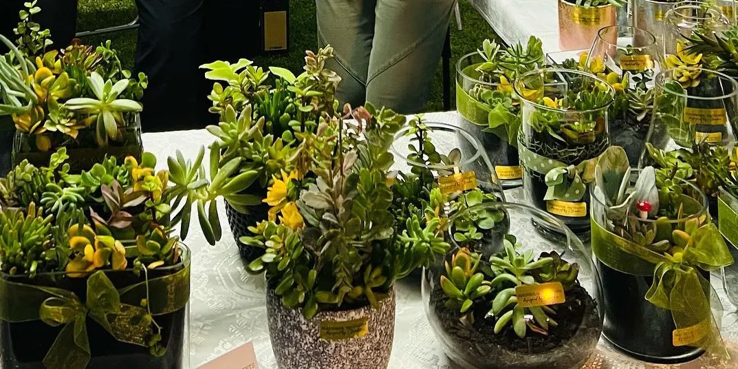 Glasshouse Succulents Workshop
