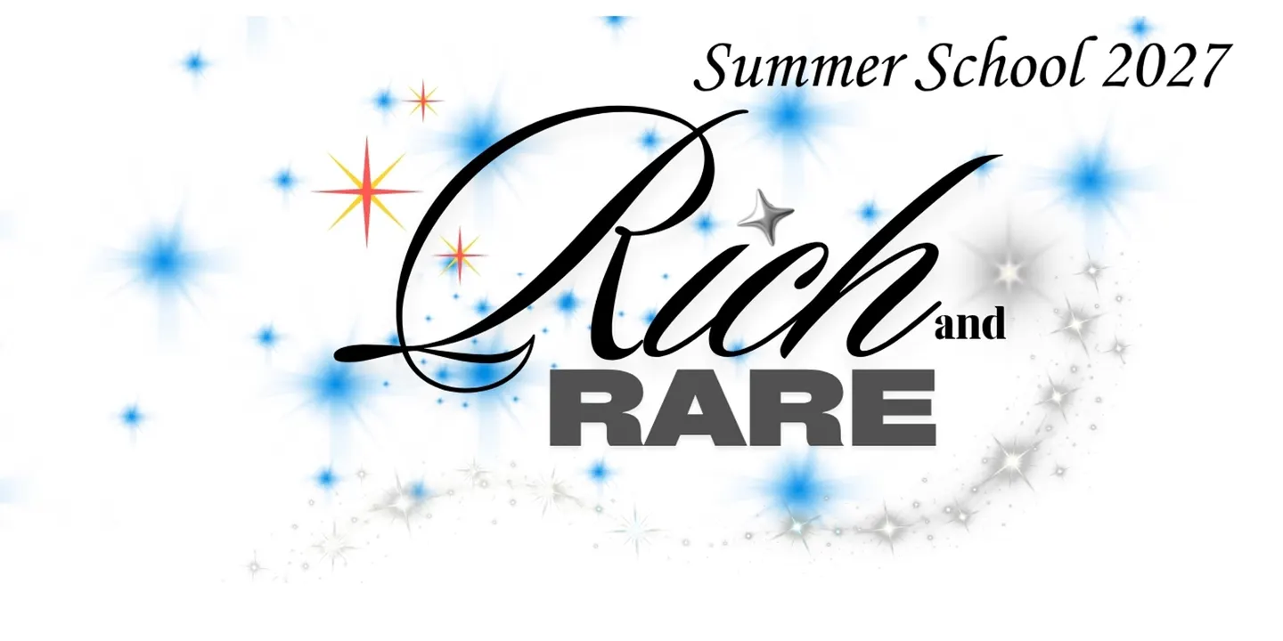 Summer School 2027 RICH and RARE