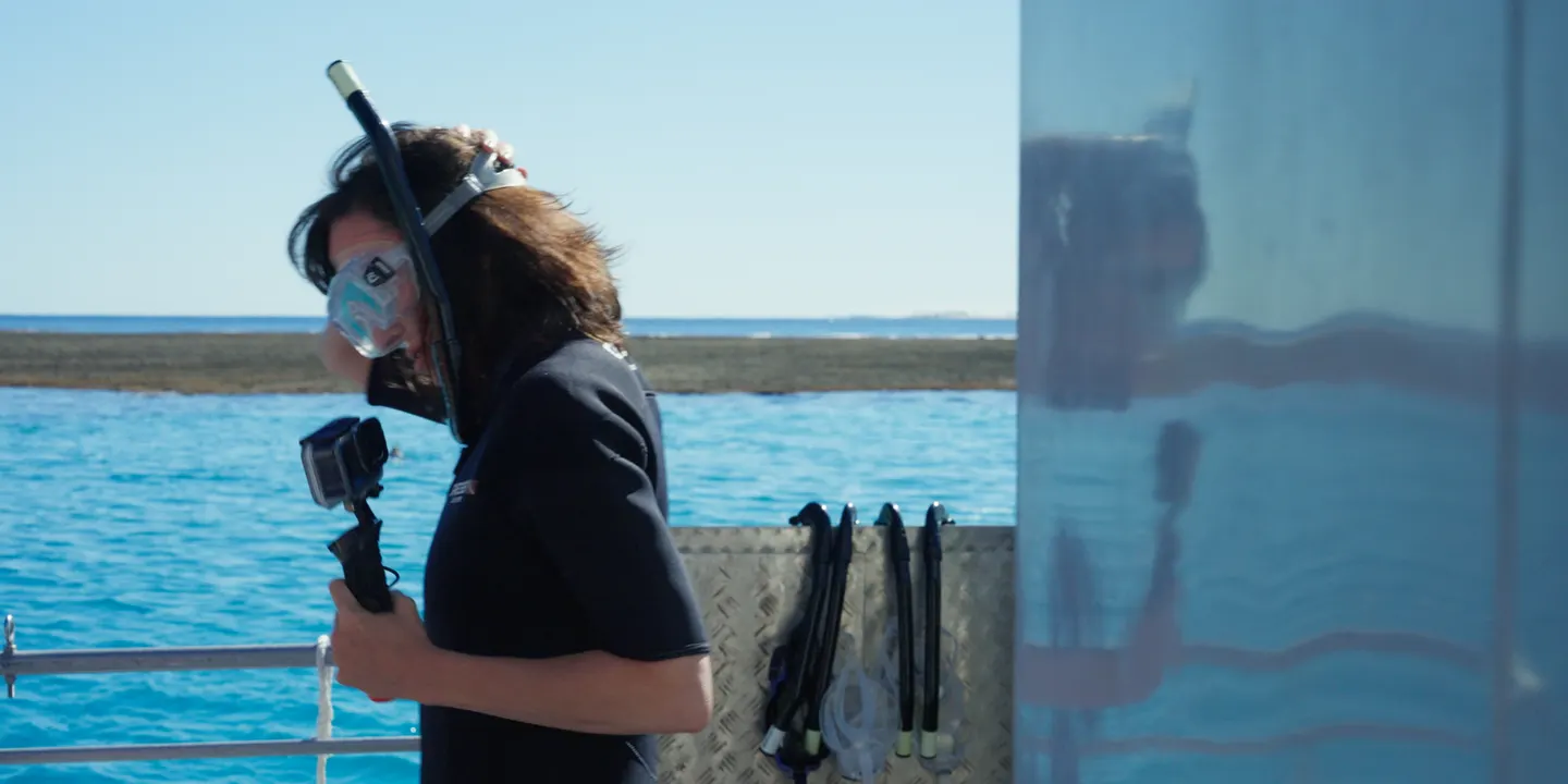 Creative Ecologies Forum – Coral Futures