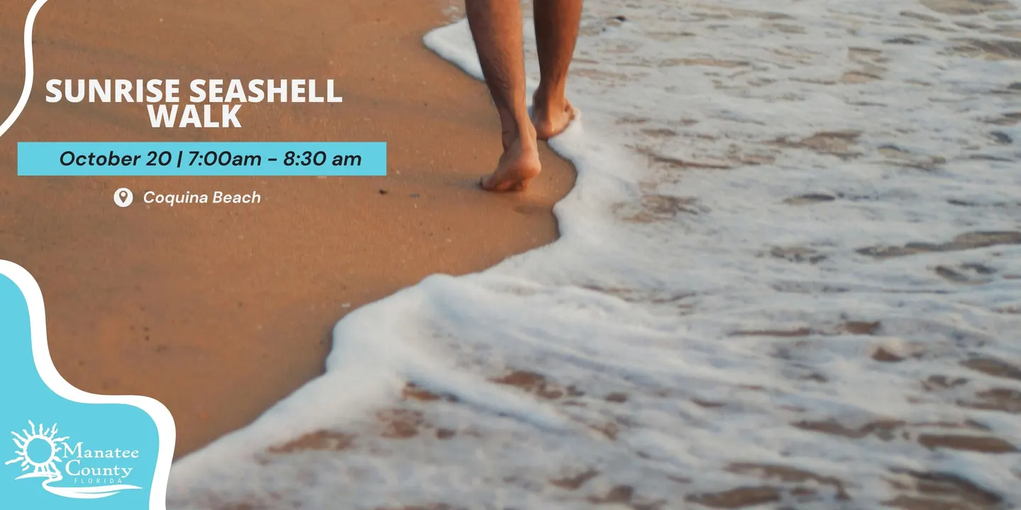 Sunrise Seashell Walk