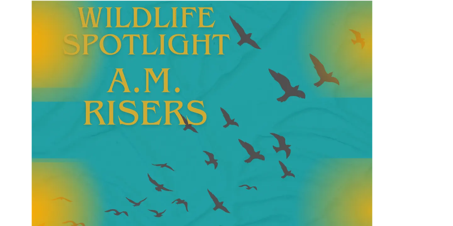 A.M. Risers: Intercoastal Robinson Preserve