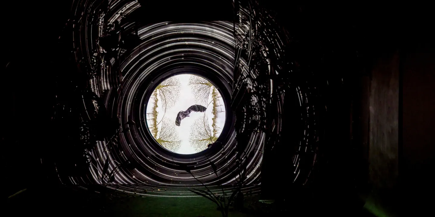 Digressions: Writers Respond to Radical Futures