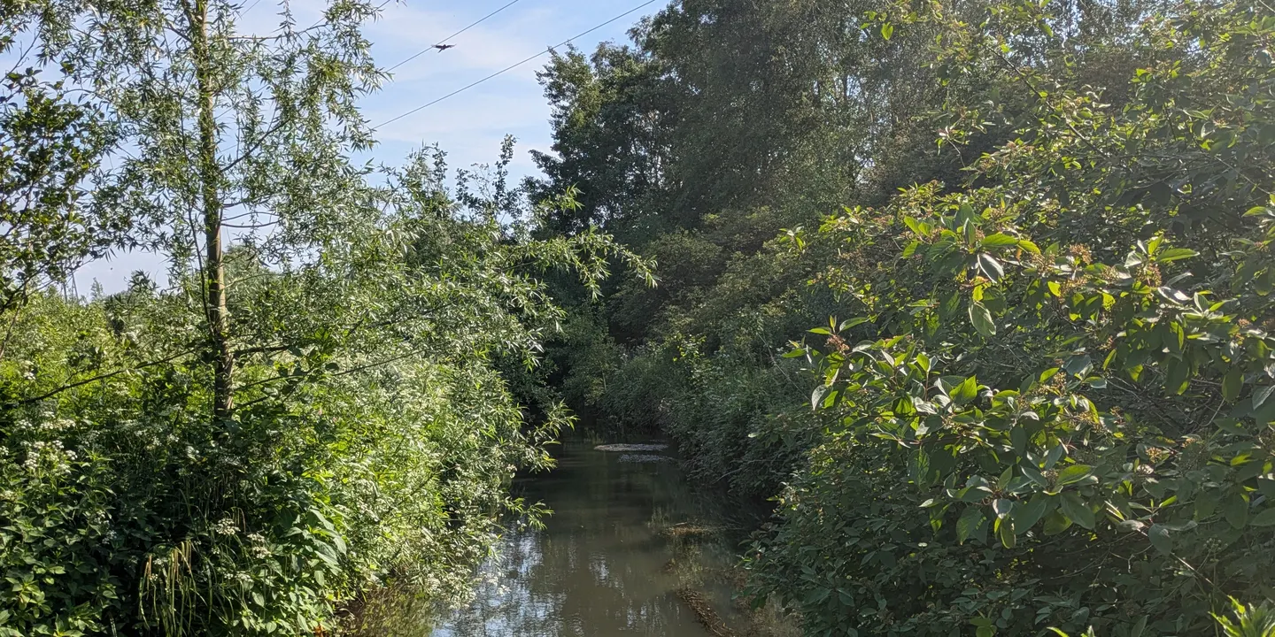 November River Monitoring Walk - University of Staffordshire Nature Reserve
