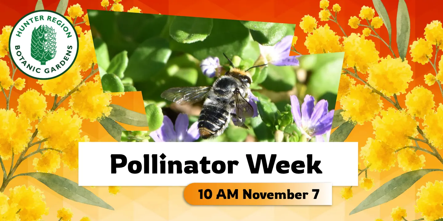 Celebrating Pollinator Week!