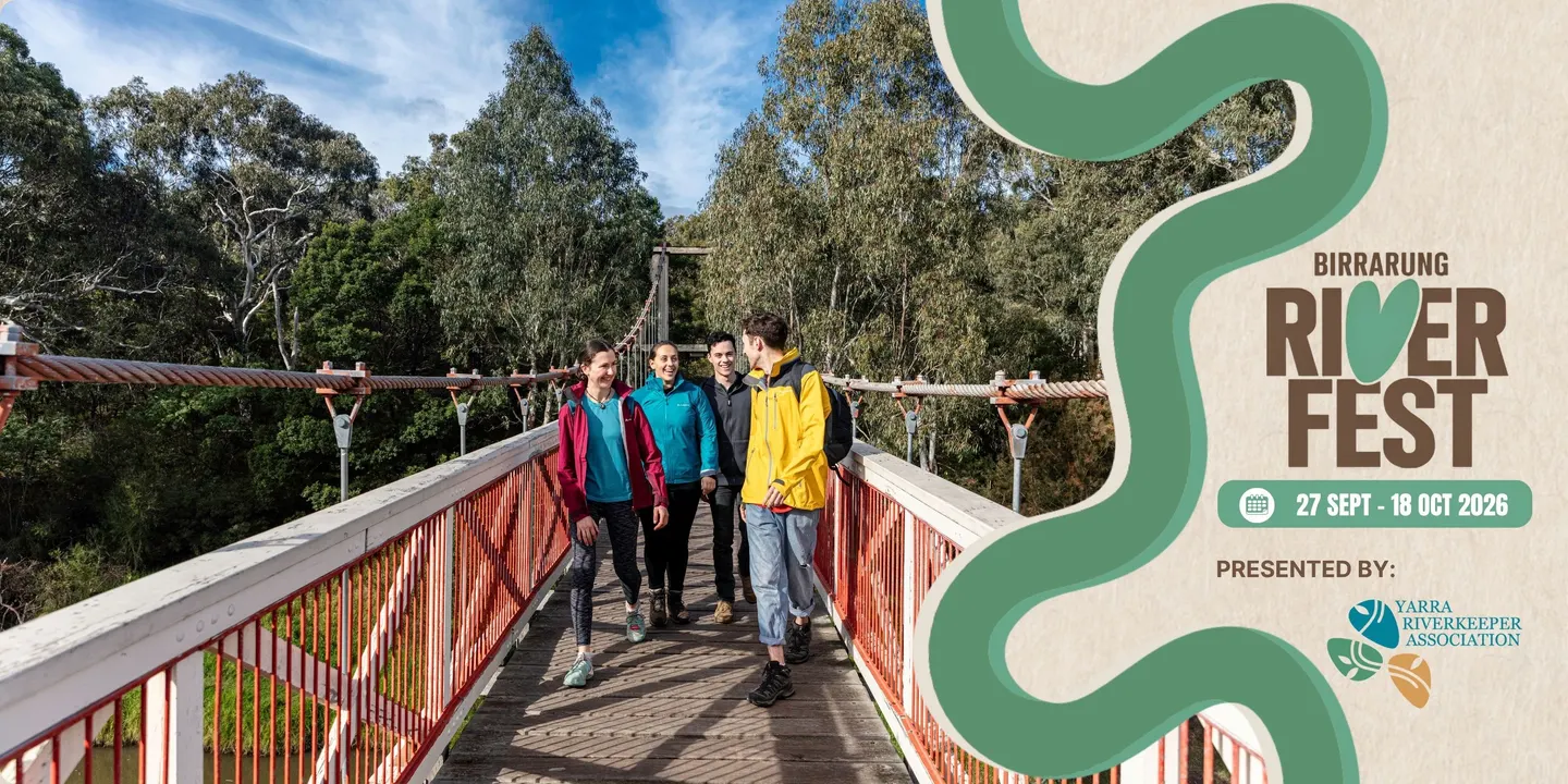 Yarra Bend Park Walk