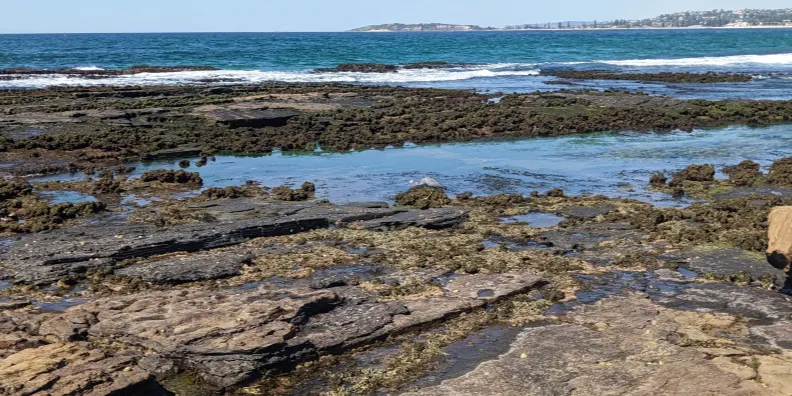 Guided rock platform exploration