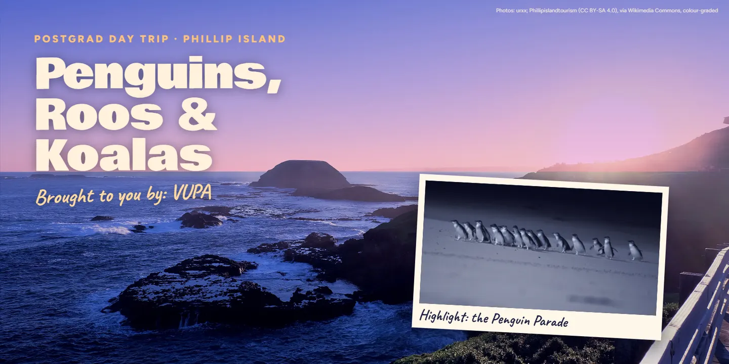 Penguins, Roos & Koalas: Postgrad Day Trip to Phillip Island