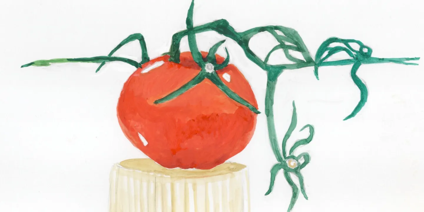 Watercolor Painting Workshop