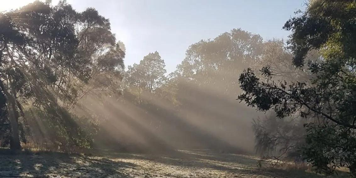 Deepening Connection - Nature Retreat for Couples