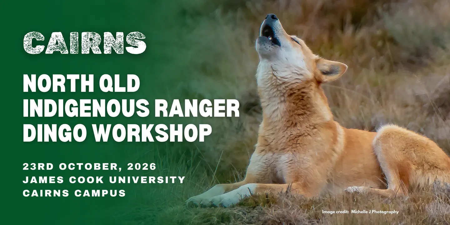 Cairns - North Queensland Indigenous Ranger Dingo Workshop 2026