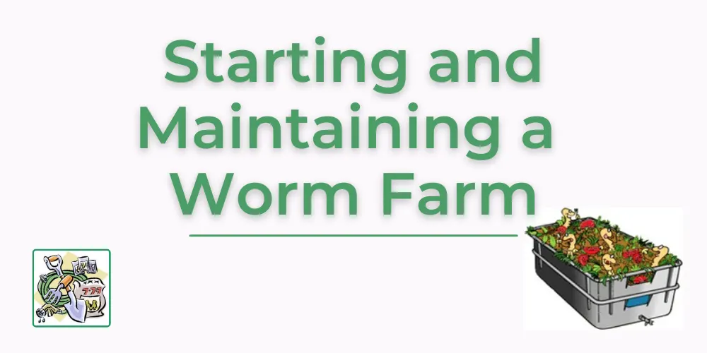 Starting & Maintaining a Worm Farm Workshop