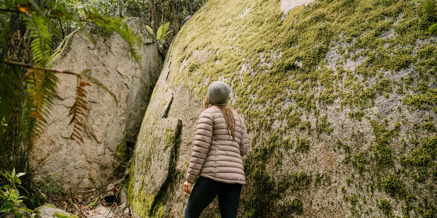 Recharge in nature - a 3hr forest therapy immersion