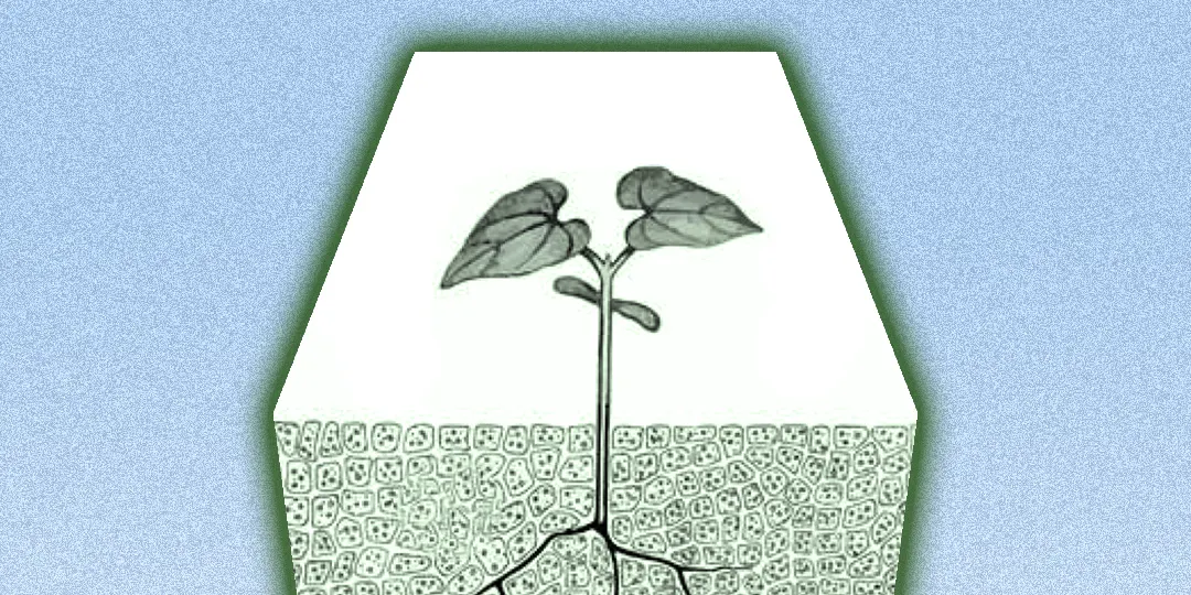 Plant your grief - Death Cafe