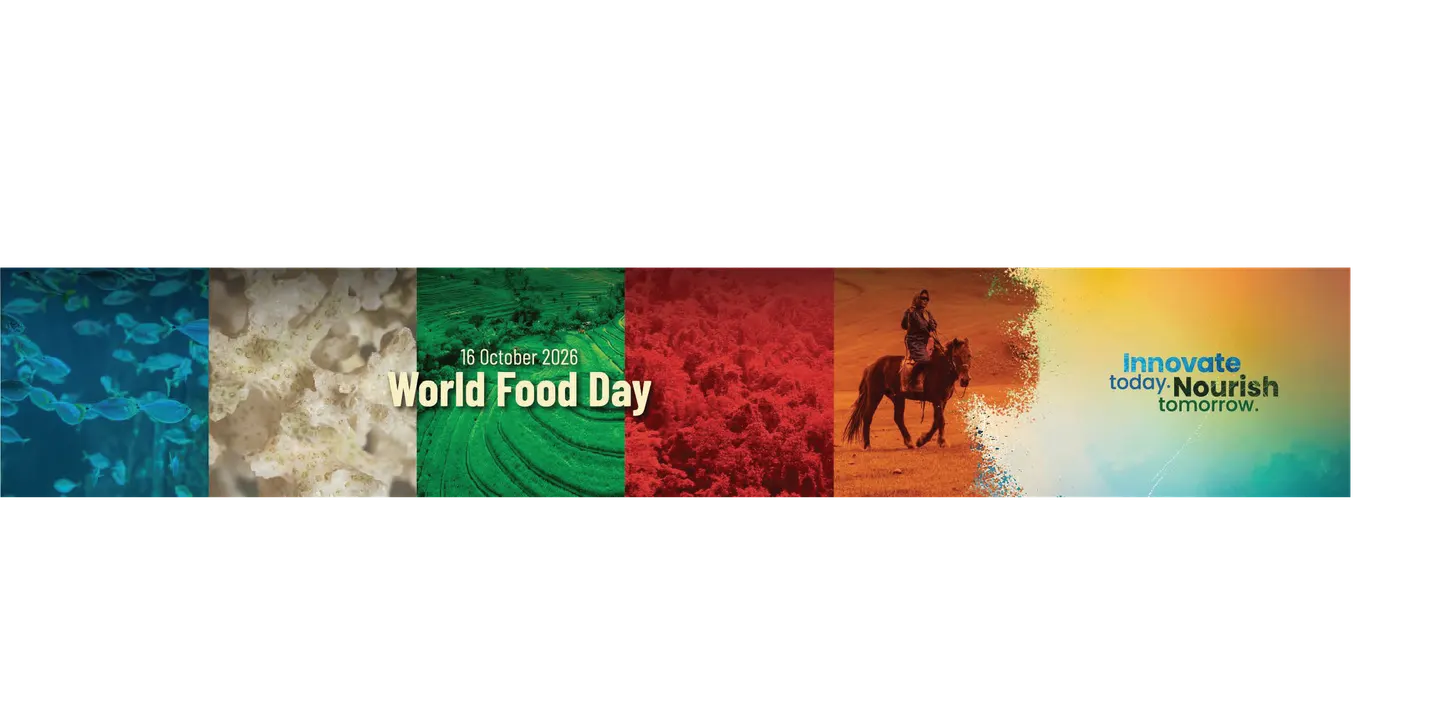 Innovate today. Nourish tomorrow: Exploring LISAF’s Research
