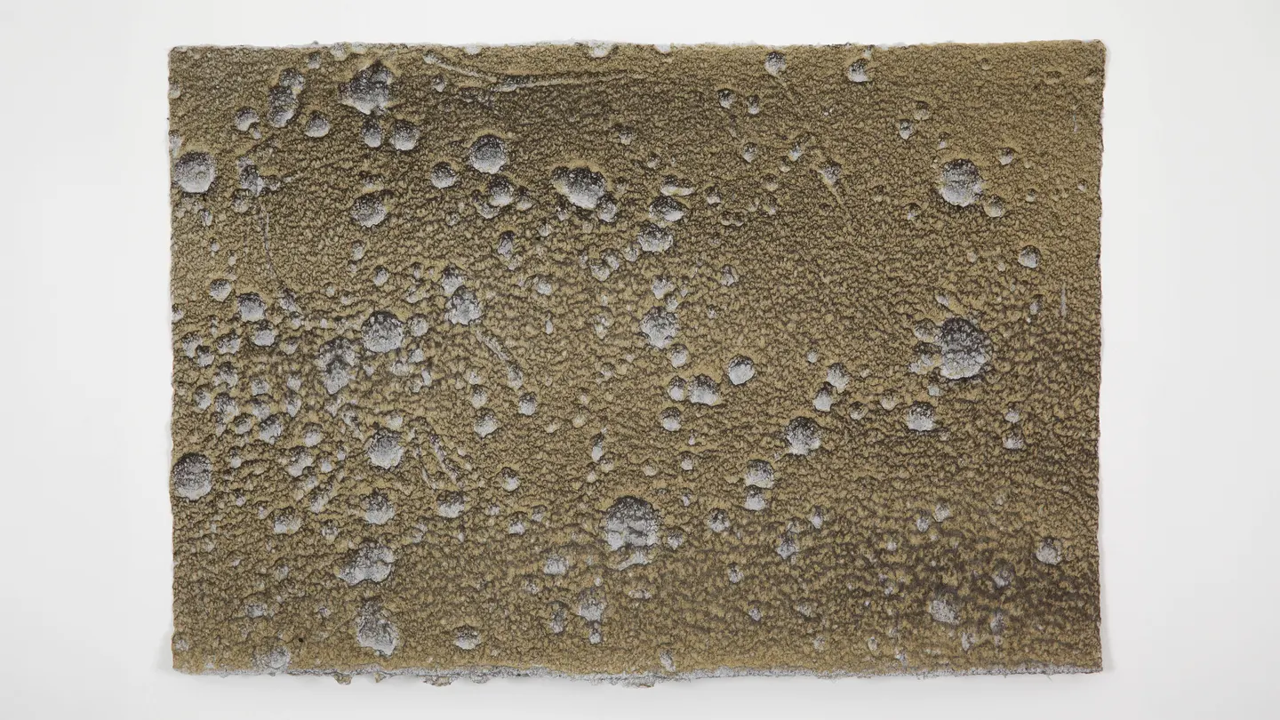 Artist talk with Winsome Jobling