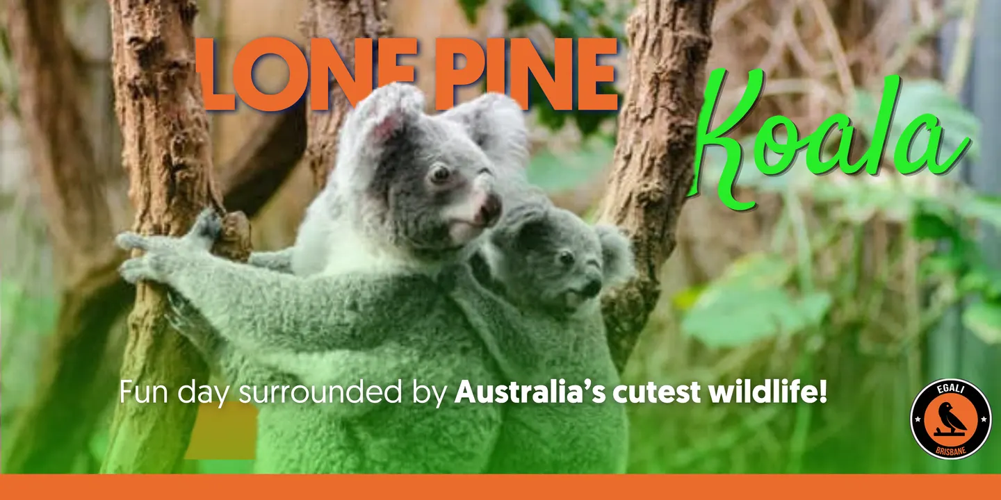 Lone Pine Koala Sanctuary with Egali