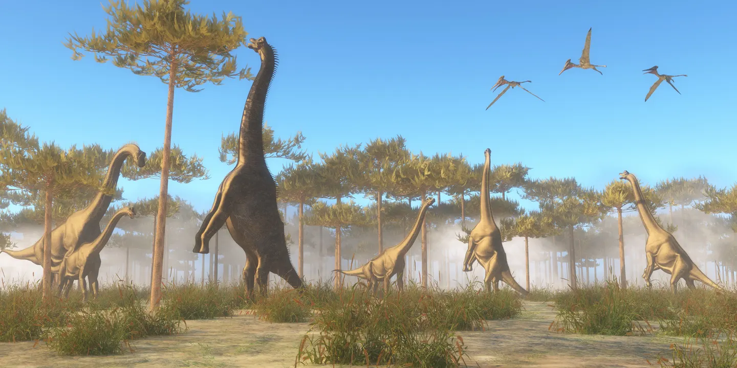 Matatiki Hornby Centre - DINOrama! Build a Dinosaur World - 5-12 years - T4t