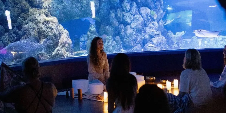 Ocean of Sound - Under Water Sound Healing Immersion