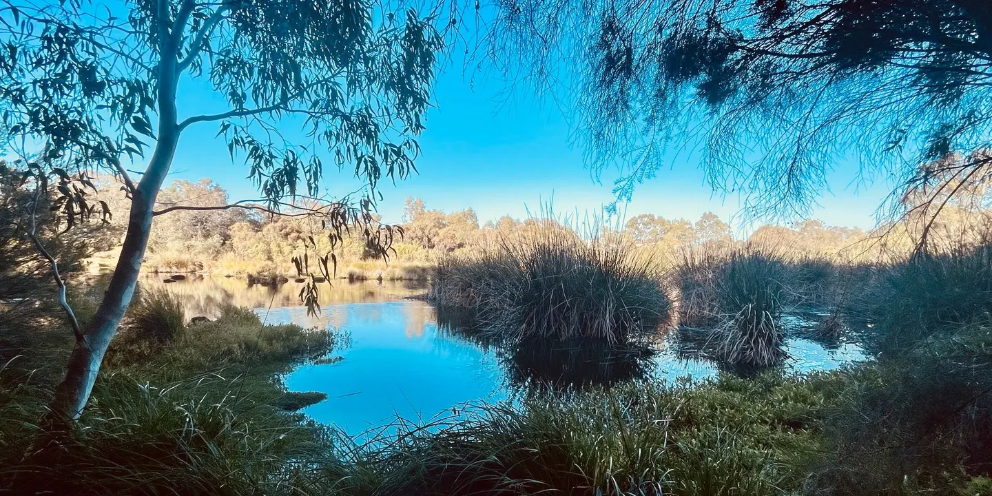 City of Bayswater Bushland Reserves on the Swan