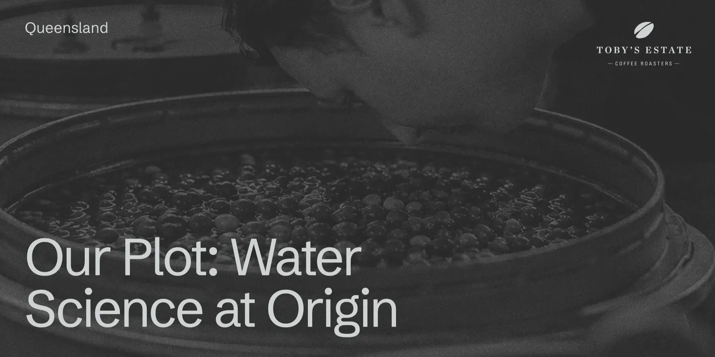Our Plot: Water Science at Origin